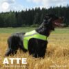 Finnero Atte Reflexväst Hundkläder Wonder Collars