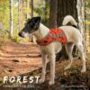 Finnero Forest Reflexväst Hundkläder Wonder Collars