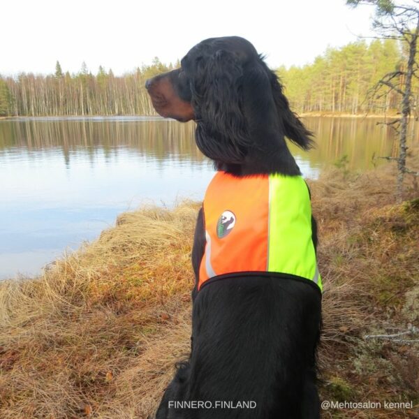 Finnero Ukko Jaktväst Hundkläder Wonder Collars