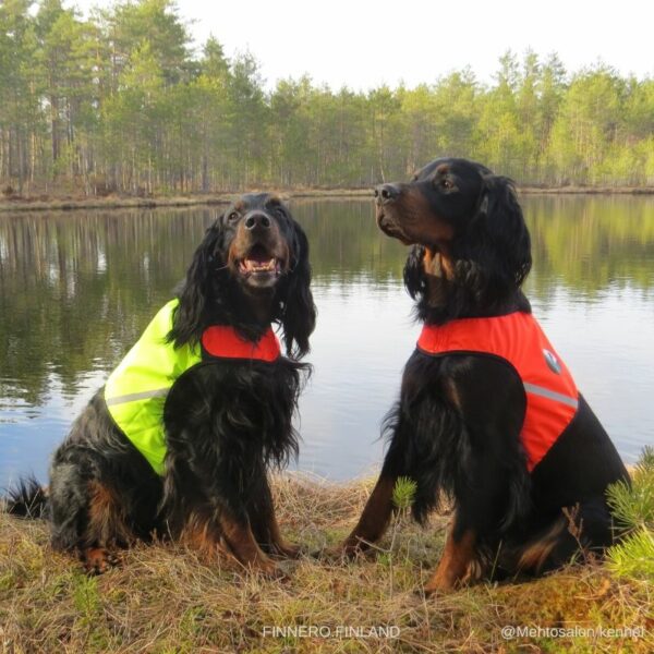 Finnero Ukko Jaktväst Hundkläder Wonder Collars