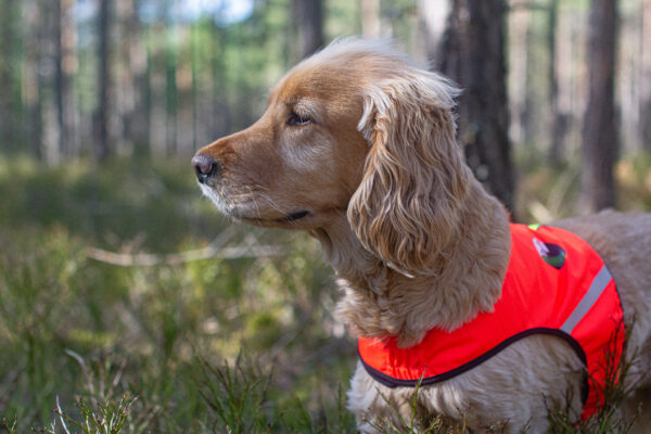 Finnero Ukko Jaktväst Hundkläder Wonder Collars