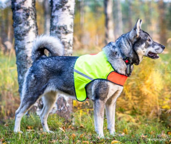 Finnero Ukko Jaktväst Hundkläder Wonder Collars