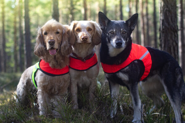 Finnero Ukko Jaktväst Hundkläder Wonder Collars