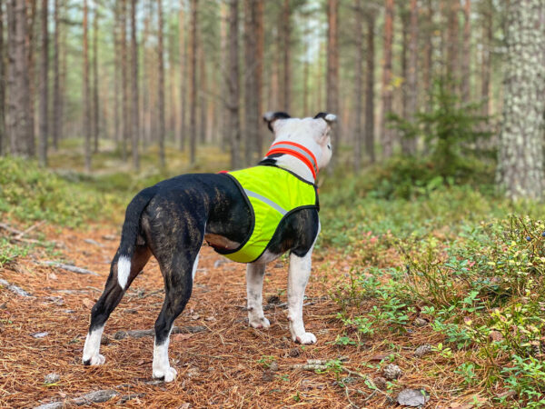 Finnero Ukko Jaktväst Hundkläder Wonder Collars