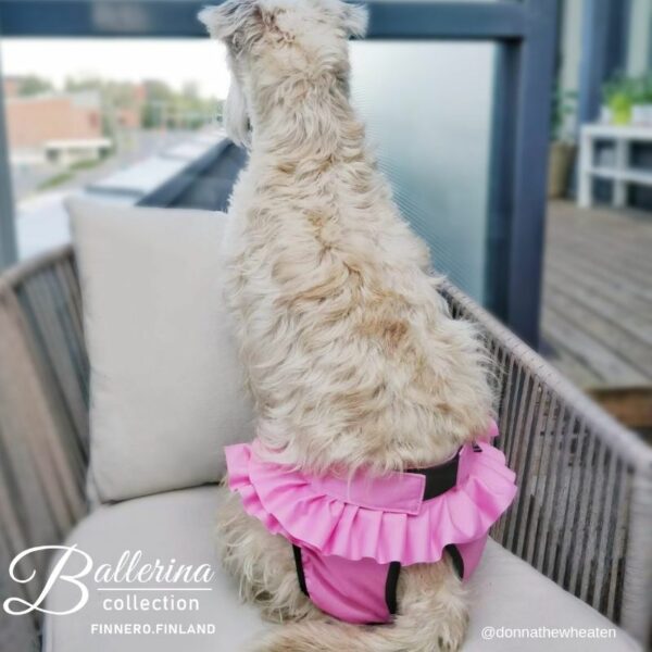 Finnero Ballerina Tikskydd Hundkläder Wonder Collars