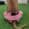 Finnero Ballerina Tikskydd Hundkläder Wonder Collars