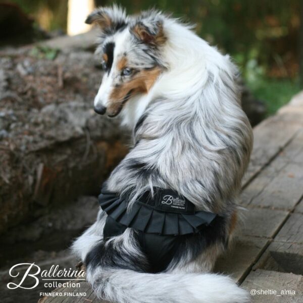 Finnero Ballerina Tikskydd Hundkläder Wonder Collars