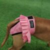 Finnero Ballerina Tikskydd Hundkläder Wonder Collars