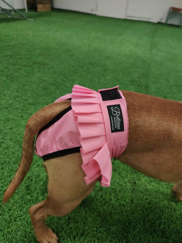 Finnero Ballerina Tikskydd Hundkläder Wonder Collars