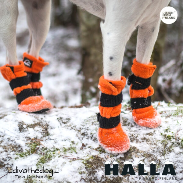 Finnero Halla 4-pack Fleece Boots Hundkläder Wonder Collars