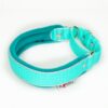 El Perro Martingale 25 mm Halsband Wonder Collars