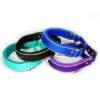 El Perro Martingale 25 mm Halsband Wonder Collars