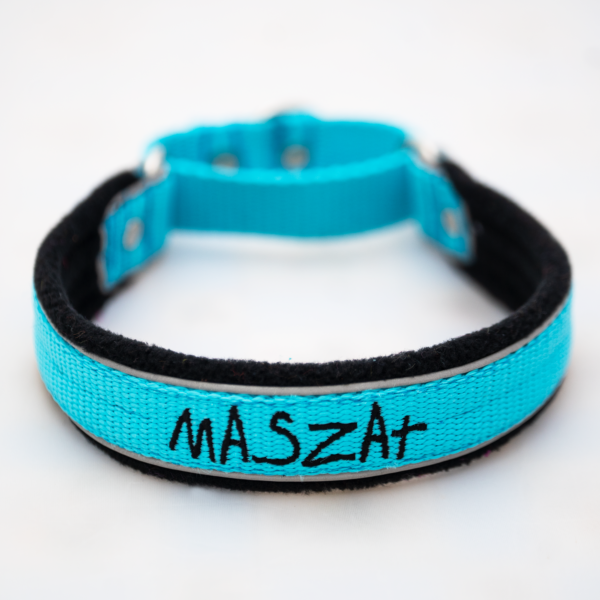 El Perro Martingale 25 mm Halsband Wonder Collars