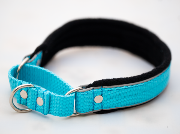 El Perro Martingale 25 mm Halsband Wonder Collars