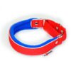 El Perro Martingale 25 mm Halsband Wonder Collars