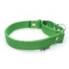 El Perro Martingale 25 mm Halsband Wonder Collars