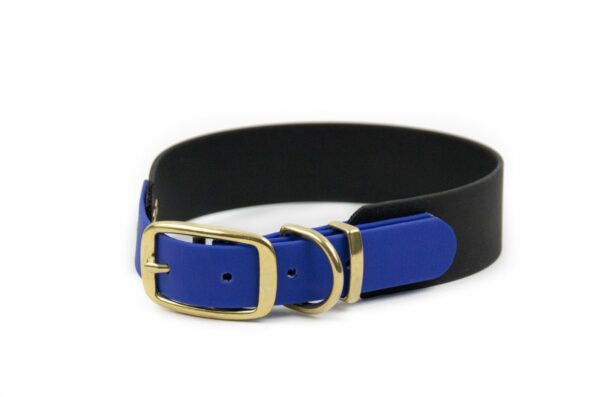 Accdog Biothane® Rainbow Greyhound Halsband 38 mm Halsband Wonder Collars