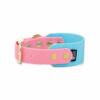 Accdog Biothane® Rainbow Greyhound Halsband 38 mm Halsband Wonder Collars