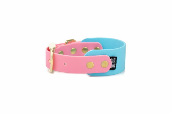 Accdog Biothane® Rainbow Greyhound Halsband 38 mm Halsband Wonder Collars