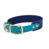 Accdog Biothane® Rainbow Greyhound Halsband 38 mm Halsband Wonder Collars