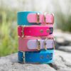 Accdog Biothane® Rainbow Greyhound Halsband 38 mm Halsband Wonder Collars