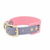 Accdog Biothane® Rainbow Greyhound Halsband 38 mm Halsband Wonder Collars