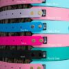 Accdog Biothane® Rainbow Greyhound Halsband 38 mm Halsband Wonder Collars