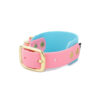 Accdog Biothane® Rainbow Greyhound Halsband 38 mm Halsband Wonder Collars