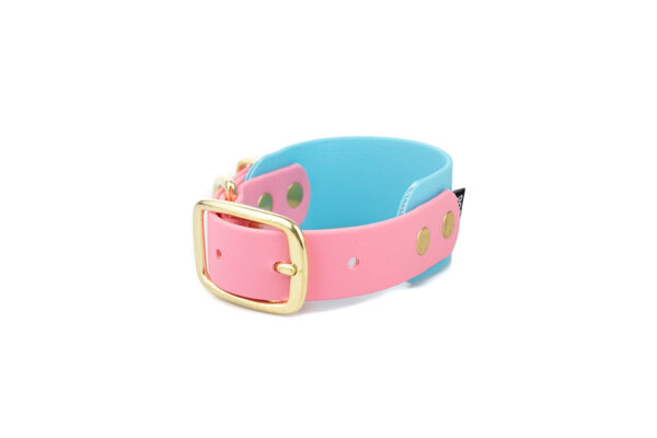 Accdog Biothane® Rainbow Greyhound Halsband 38 mm Halsband Wonder Collars