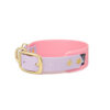 Accdog Biothane® Rainbow Greyhound Halsband 38 mm Halsband Wonder Collars