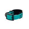 Accdog Biothane® Rainbow Greyhound Halsband 38 mm Halsband Wonder Collars