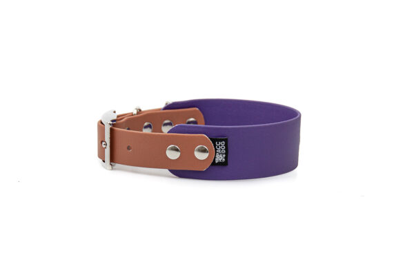 Accdog Biothane® Rainbow Greyhound Halsband 38 mm Halsband Wonder Collars