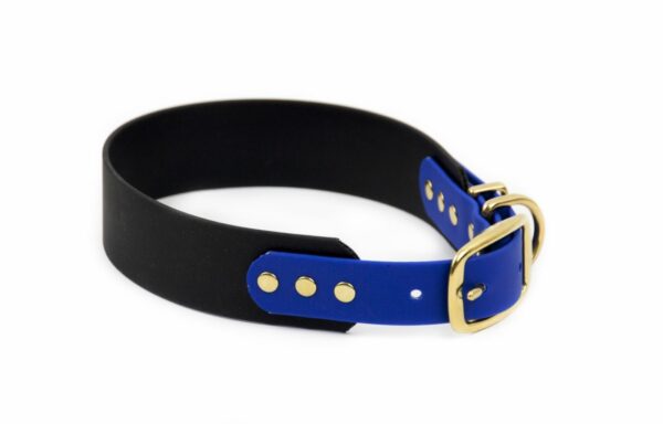 Accdog Biothane® Rainbow Greyhound Halsband 38 mm Halsband Wonder Collars