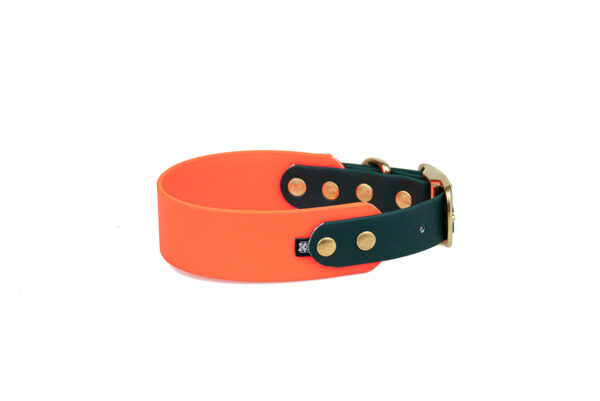 Accdog Biothane® Rainbow Greyhound Halsband 38 mm Halsband Wonder Collars