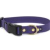 Accdog Biothane® Halsband Med Duraflex® 16 mm Halsband Wonder Collars