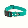 Accdog Biothane® Halsband Med Duraflex® 16 mm Halsband Wonder Collars