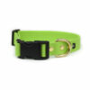 Accdog Biothane® Halsband Med Duraflex® 16 mm Halsband Wonder Collars