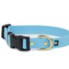 Accdog Biothane® Halsband Med Duraflex® 16 mm Halsband Wonder Collars