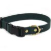 Accdog Biothane® Halsband Med Duraflex® 16 mm Halsband Wonder Collars