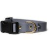 Accdog Biothane® Halsband Med Duraflex® 16 mm Halsband Wonder Collars