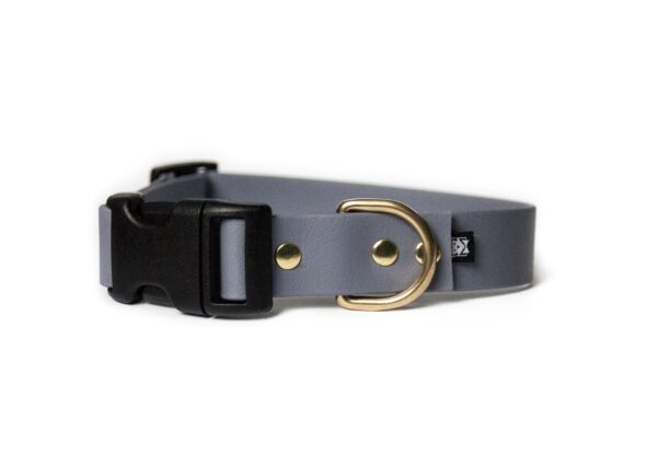 Accdog Biothane® Halsband Med Duraflex® 16 mm Halsband Wonder Collars