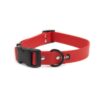 Accdog Biothane® Halsband Med Duraflex® 16 mm Halsband Wonder Collars