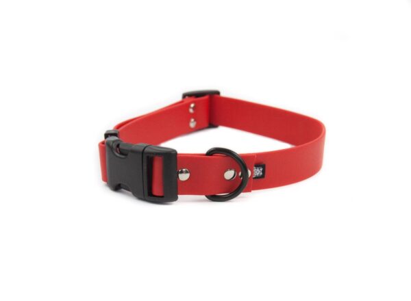 Accdog Biothane® Halsband Med Duraflex® 16 mm Halsband Wonder Collars