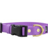 Accdog Biothane® Halsband Med Duraflex® 16 mm Halsband Wonder Collars