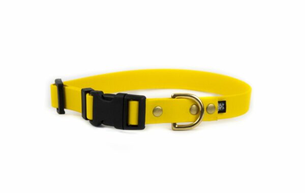 Accdog Biothane® Halsband Med Duraflex® 16 mm Halsband Wonder Collars