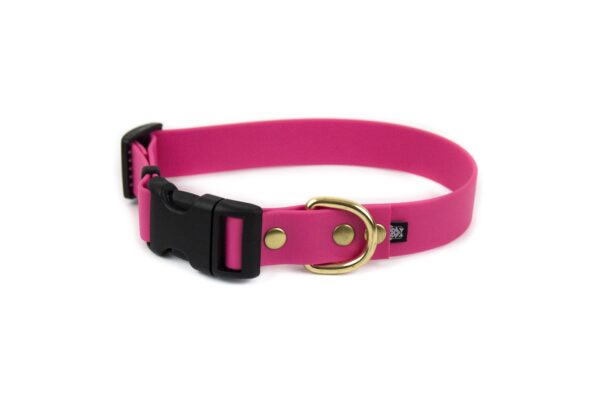 Accdog Biothane® Halsband Med Duraflex® 16 mm Halsband Wonder Collars