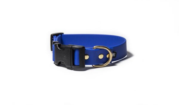 Accdog Biothane® Halsband Med Duraflex® 16 mm Halsband Wonder Collars