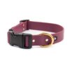 Accdog Biothane® Halsband Med Duraflex® 16 mm Halsband Wonder Collars