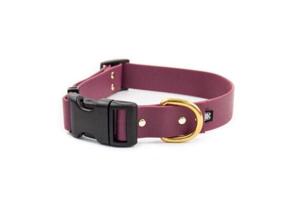 Accdog Biothane® Halsband Med Duraflex® 16 mm Halsband Wonder Collars