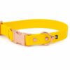 Accdog Biothane® Halsband Med Metall Spänne 19 mm Halsband Wonder Collars